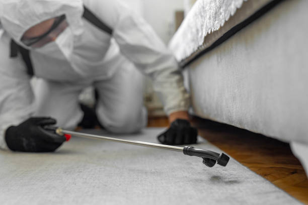 Professional Termite Control technician working in Peach Springs, AZ