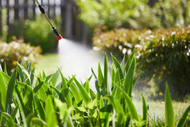 24/7 Emergency Termite Control experts in Peach Springs, AZ
