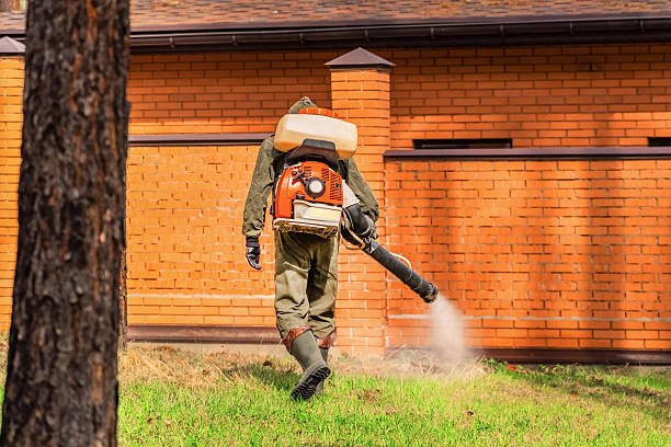 Trusted Emergency Pest Control service in Peach Springs, AZ - Nex Pest Control
